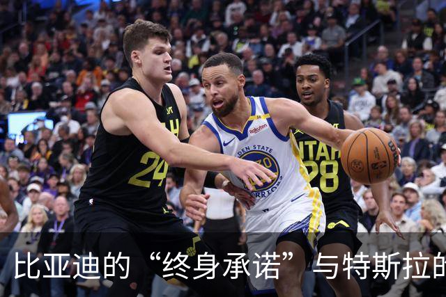 比亚迪的“终身承诺”与特斯拉的8年保障：各自的秘密与选择